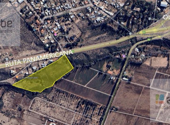 Campo · 25000m²