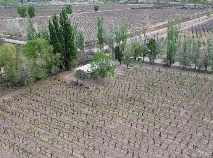 Campo · 13m²