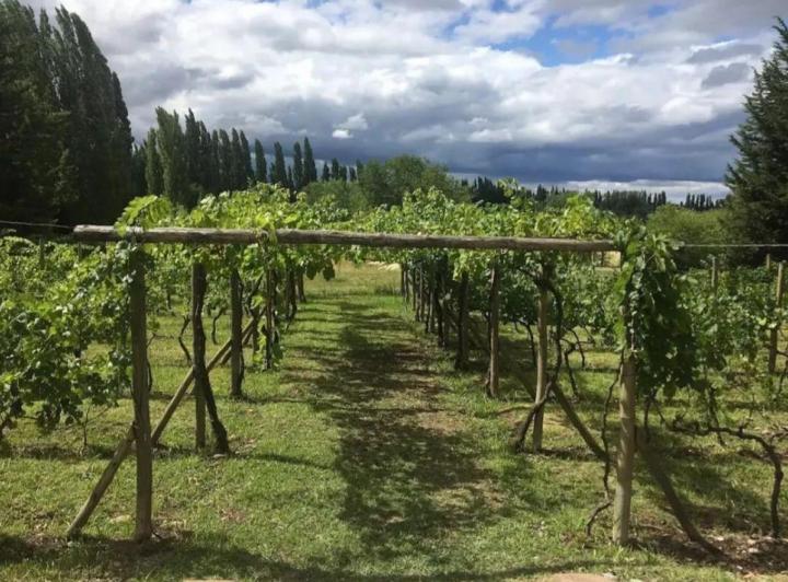 Campo · 415m²