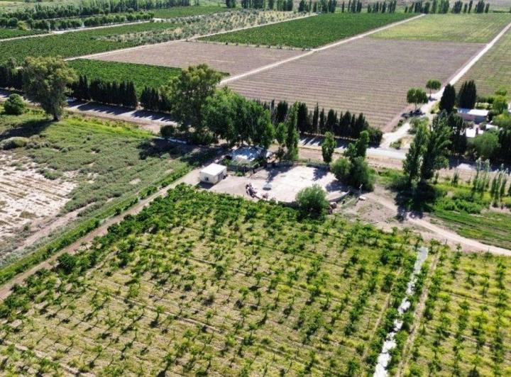 Campo · 4m²