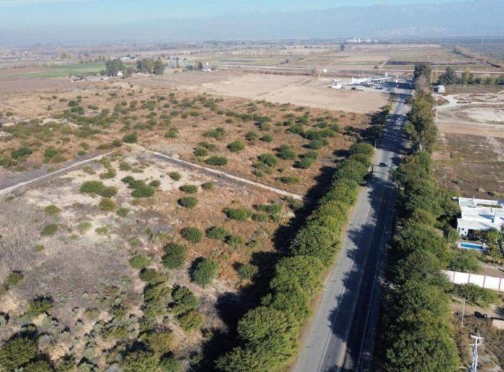 Campo · 41ha