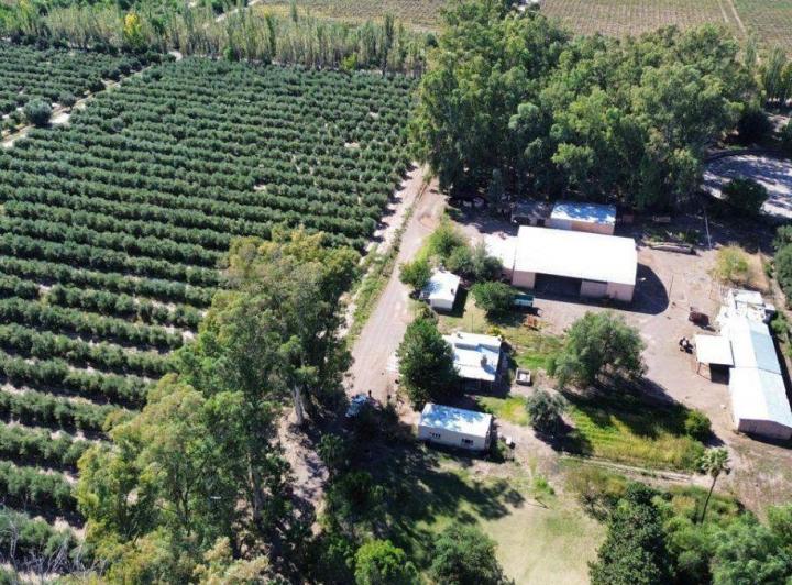 Campo · 403m²