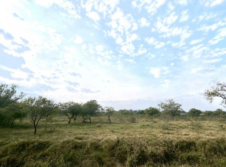 Terreno · 10001m²