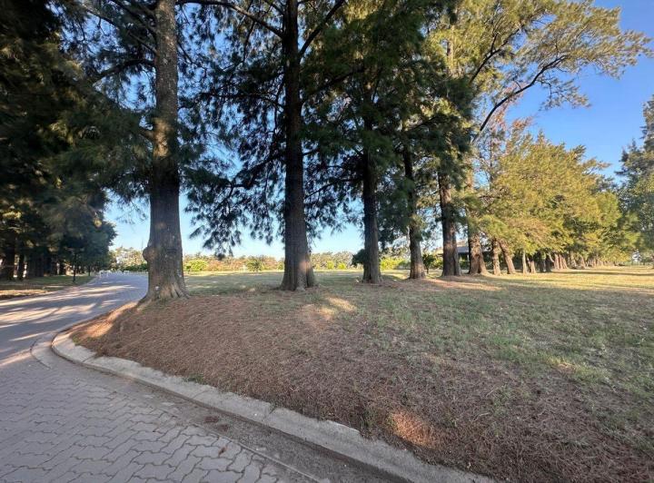 Terreno · 1001m²