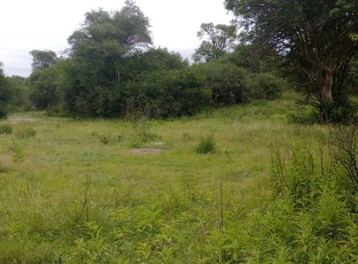 Terreno · 220m²
