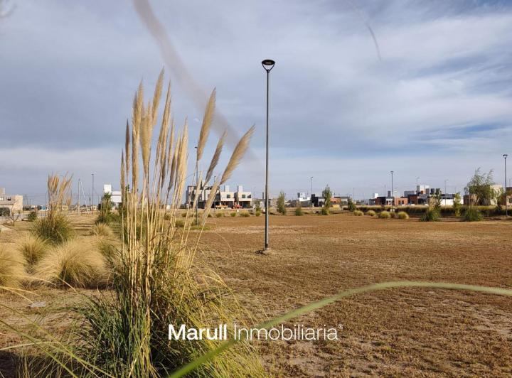 Terreno · 312m²