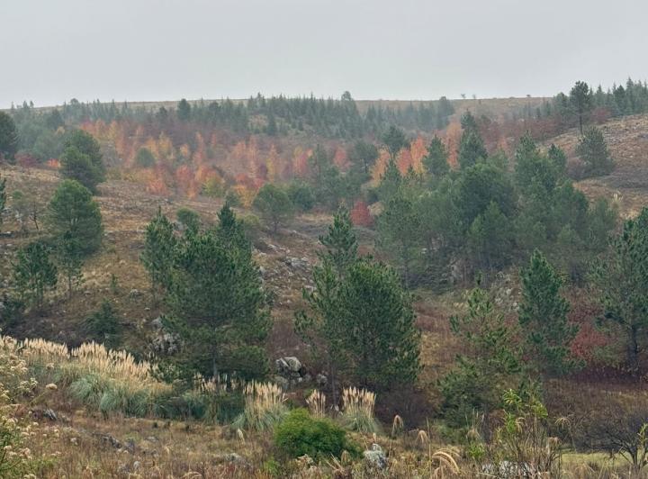 Terreno · 3000m²