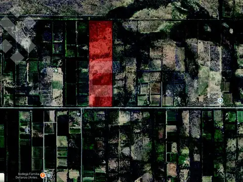 Campo en Venta en Sargento Vidal, General Roca