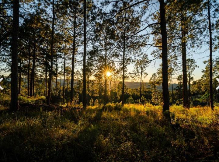 Terreno · 10007m² · 1 Ambiente