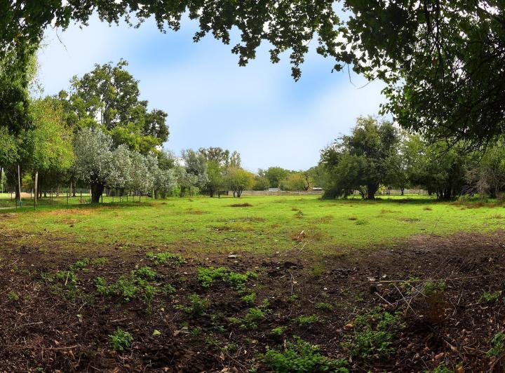 Terreno · 735m²