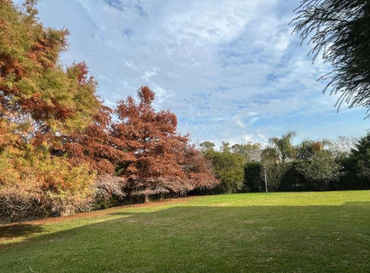 Terreno · 728m²