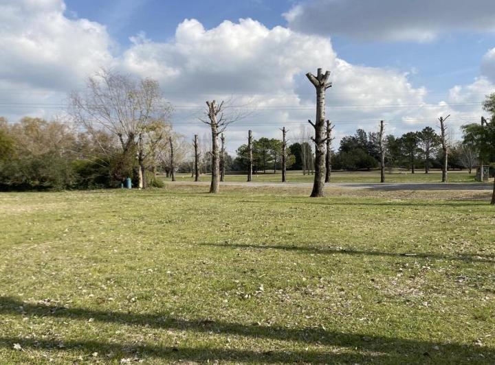 Terreno · 1300m²