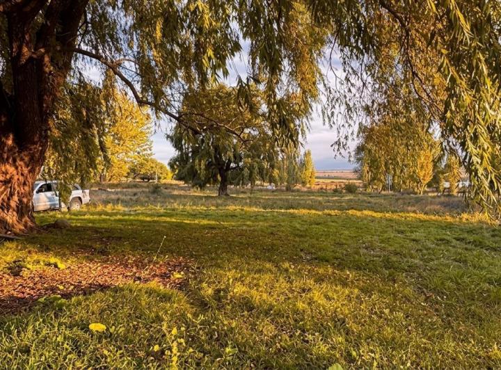 Bodega-Galpón · 200m² · 1 Ambiente