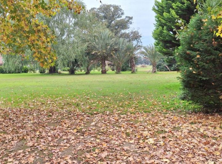 Terreno · 931m²
