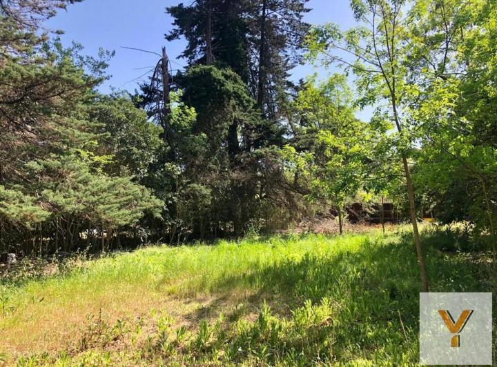 Terreno · 833m²