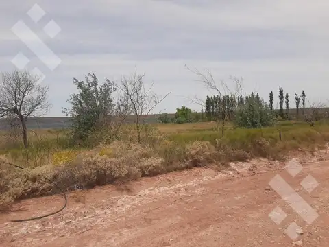 Terreno en Venta en Mari Menuco, Confluencia