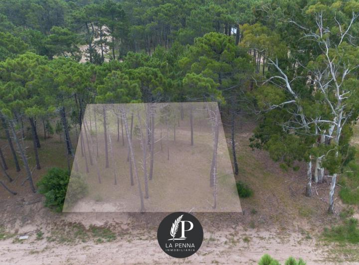 Terreno · 1037m²