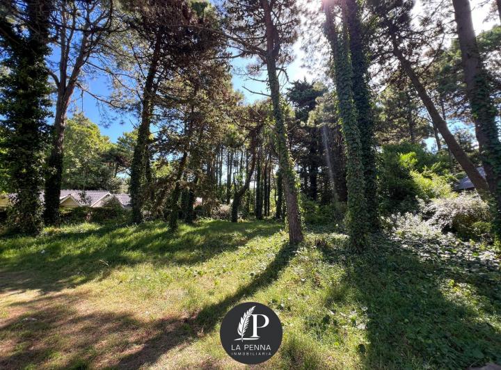 Terreno · 973m²