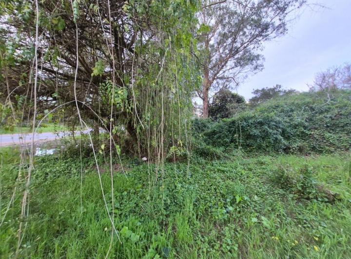Terreno · 432m²