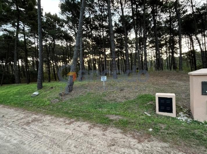 Terreno · 1022m²