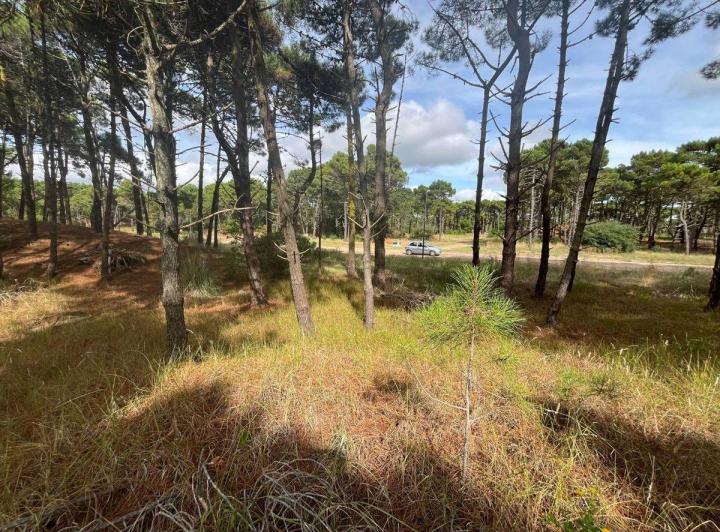 Terreno · 1040m²