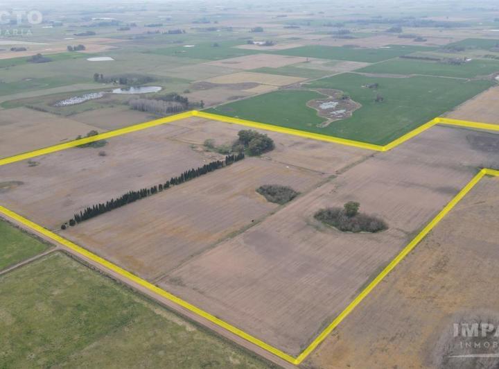 Campo · 60ha