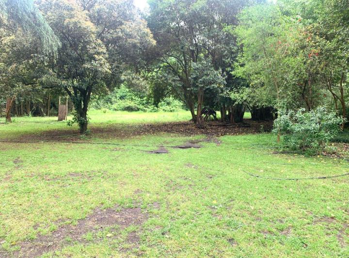 Campo · 550ha