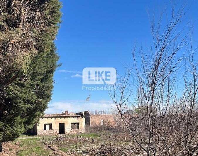 Terreno · 62431m²