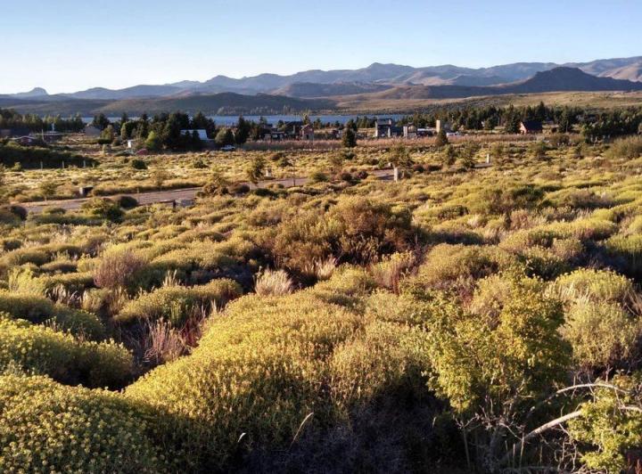 Terreno · 1380m²