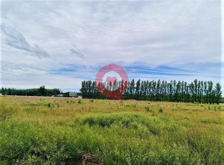 Terreno · 25000m²