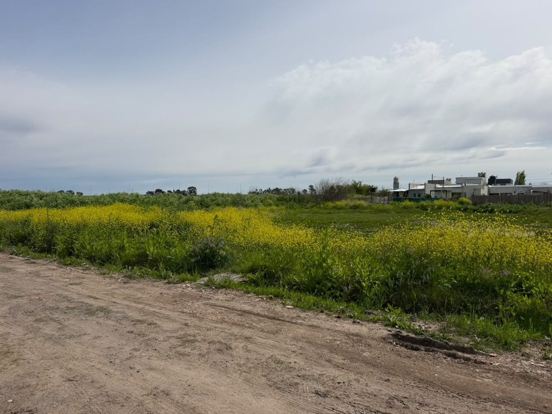 LOTE EN VENTA LA PLATA  VILLA CASTELLS