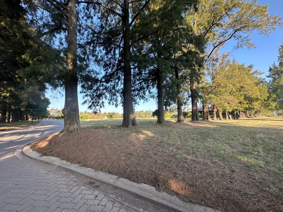 VENTA LOTE 1000 MT2 EN AZAHARES DEL PARANA