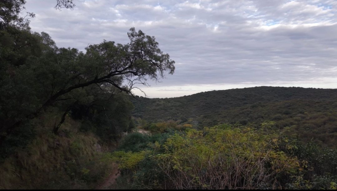 VENTA LOTE 536M2 RIO CEBALLOS