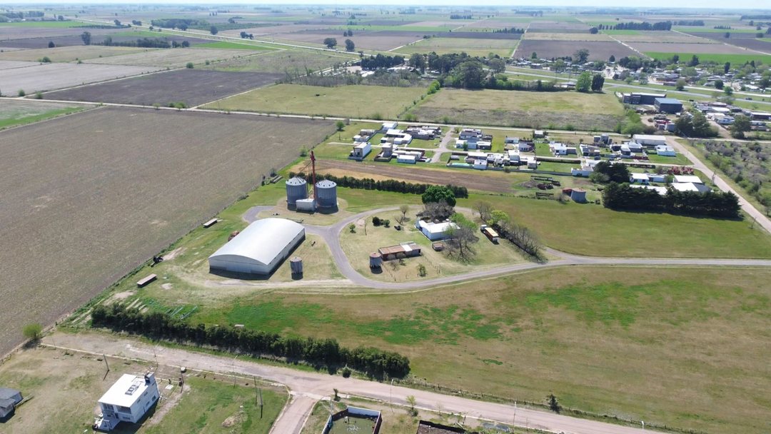 VENTA DE CAMPO PRODUCTIVO DE 4 HECTAREAS EN FIRMAT