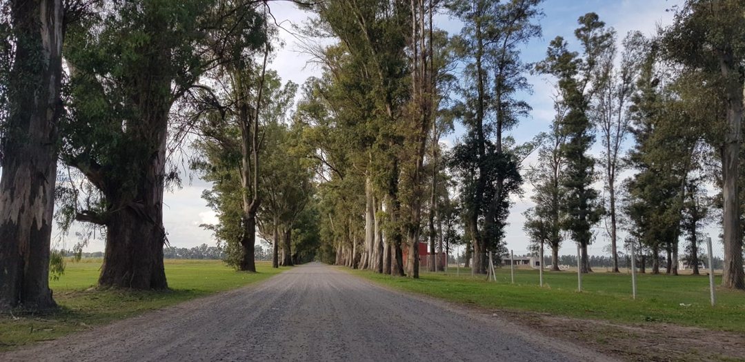 Venta Lote - 1600 m. BARRIO GOLF - TRES PINOS