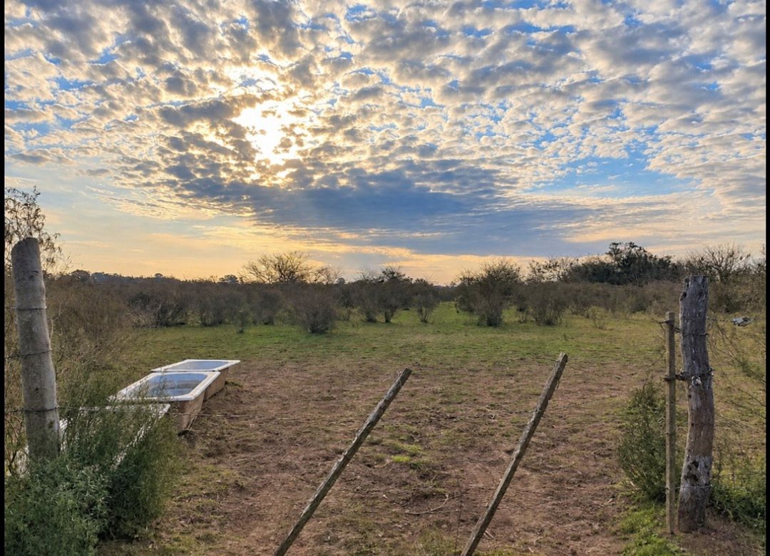 Venta campo 4,37 Hectáreas Villa Garibald