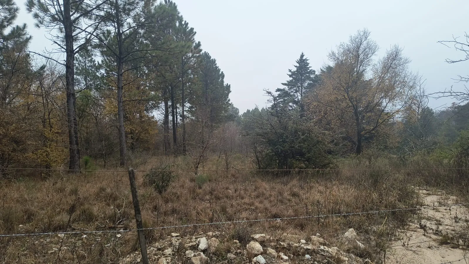 Campo de 4 ha Los Reartes