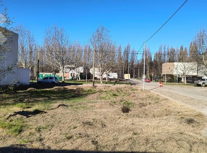 Terreno · 442m²