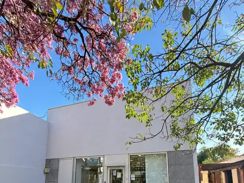 Alquiler local comercial av. belgrano sur