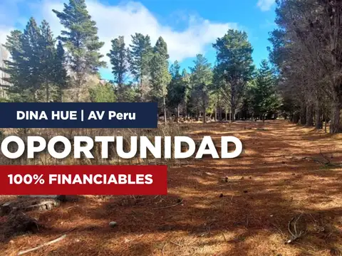 Loteo perú y del vado dina huapi – dina hue