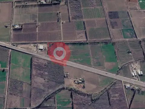 2,5 hectareas sobre ruta 22- fernandez oro, rio negro.