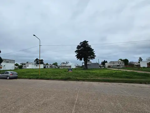 Terrenos en venta