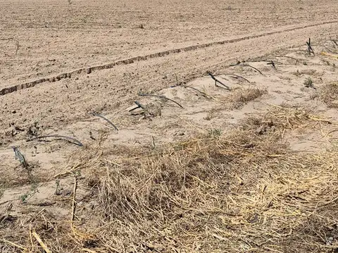 Venta de finca en san carlos
