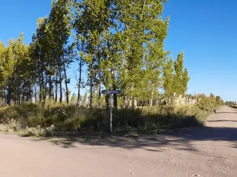 Venta campo a metros de general alvear