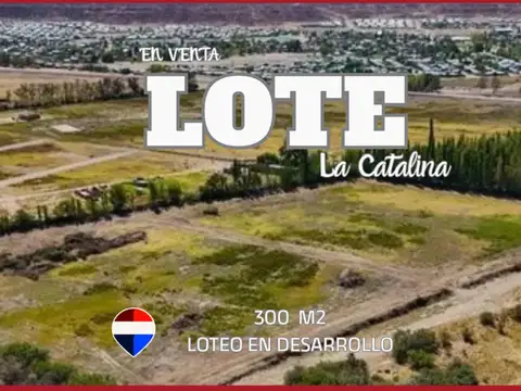 Venta terreno en loteo la catalina neuquen