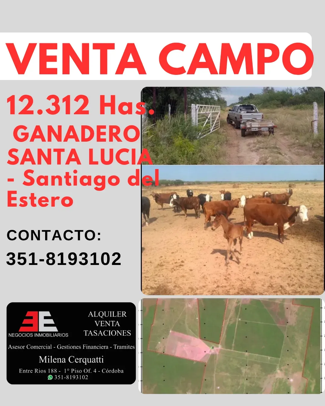 VENTA CAMPO GANADERO SANTIAGO DEL ESTERO