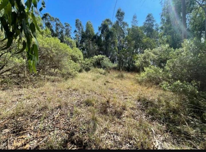 Terreno · 8817m²