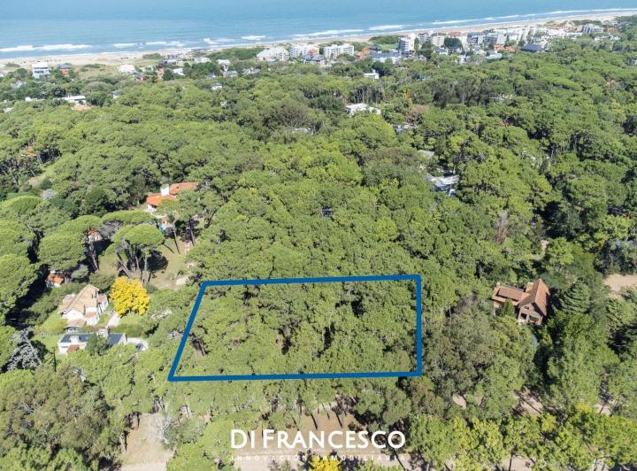 Terreno · 2960m²