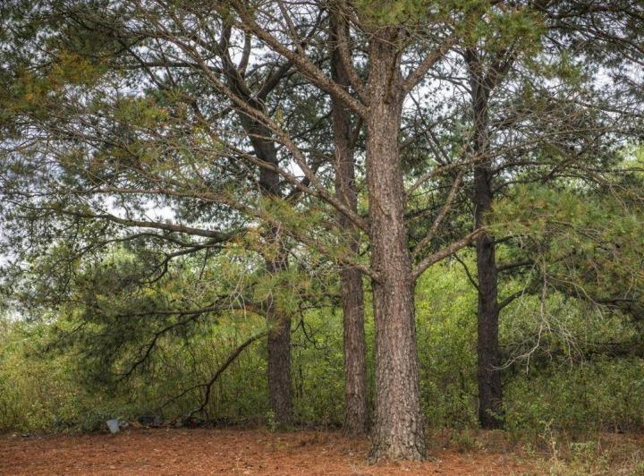 Terreno · 500m²
