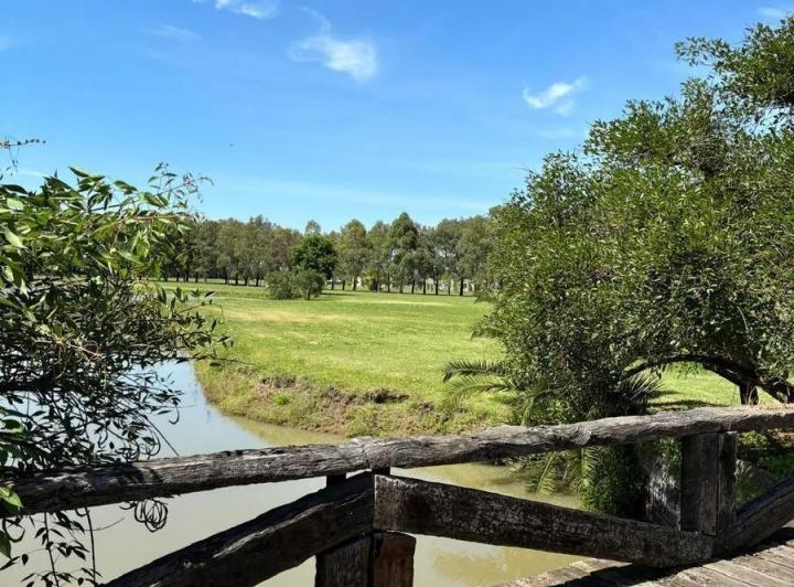 Terreno · 1746m²